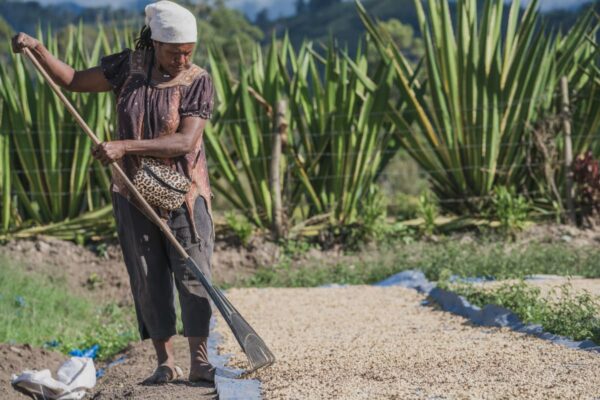 Papua New Guinea - Kunjin (1lb Bag)