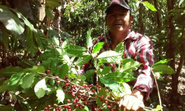 Honduras - San Miguel (1lb Bag)