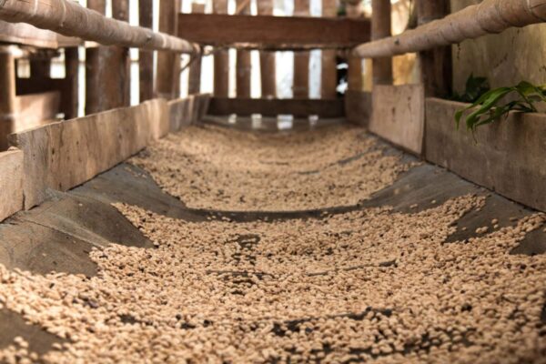 Colombia - Cauca (1lb Bag) - Image 3