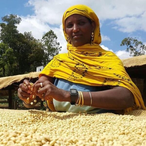 Ethiopia - Grade 3 - Gigesa (1lb Bag) - Image 5