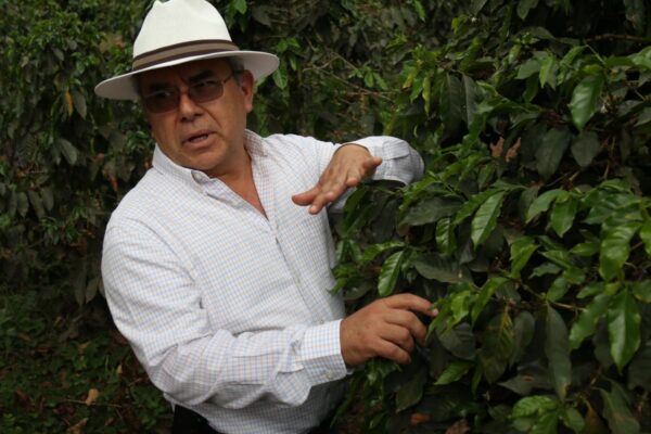 Mexico - Finca Nueva Linda (1lb Bag) - Image 4