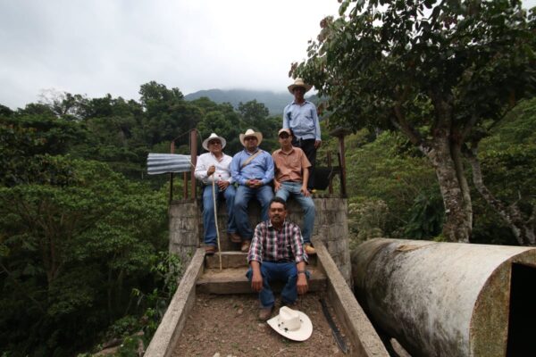 Mexico - Finca Nueva Linda (1lb Bag) - Image 7