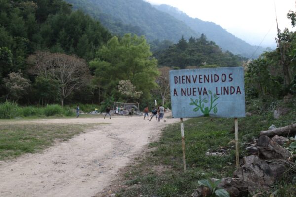 Mexico - Finca Nueva Linda (1lb Bag) - Image 9