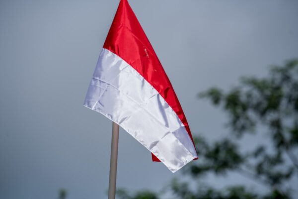 Sumatra - Aceh DP (1lb Bag) - Image 3