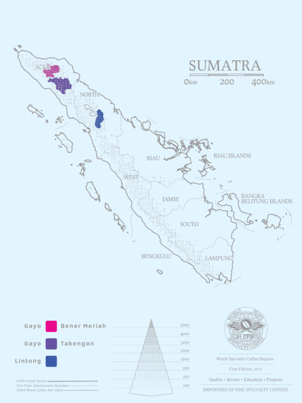 Sumatra - Aceh - Gayo (1lb Bag) - Image 11