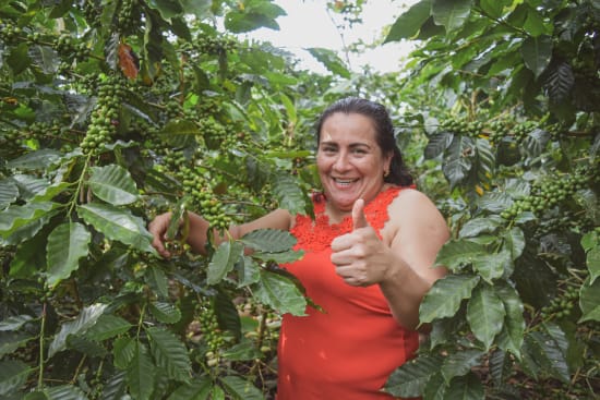 Nicaragua - Tierra Madre (1lb Bag) - Image 5