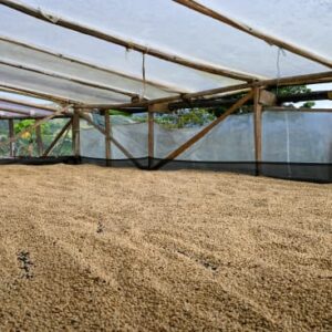 Colombia - Excelso (1lb Bag)